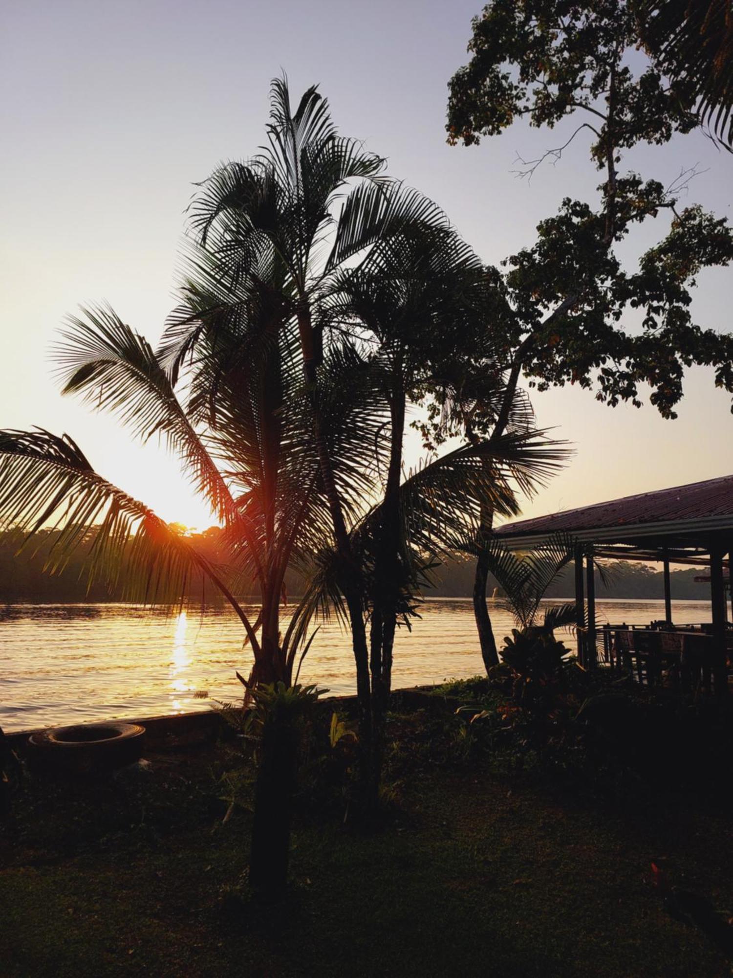 Chinitas Eco Lodge Tortuguero Exterior photo